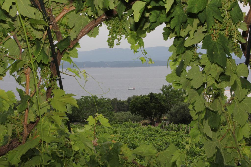 Holiday Home Vineyard House Bol Pokoj fotografie
