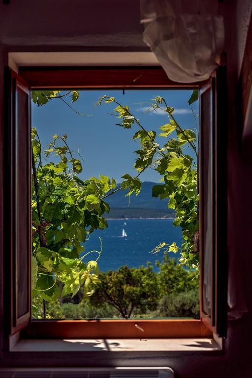 Holiday Home Vineyard House Bol Exteriér fotografie