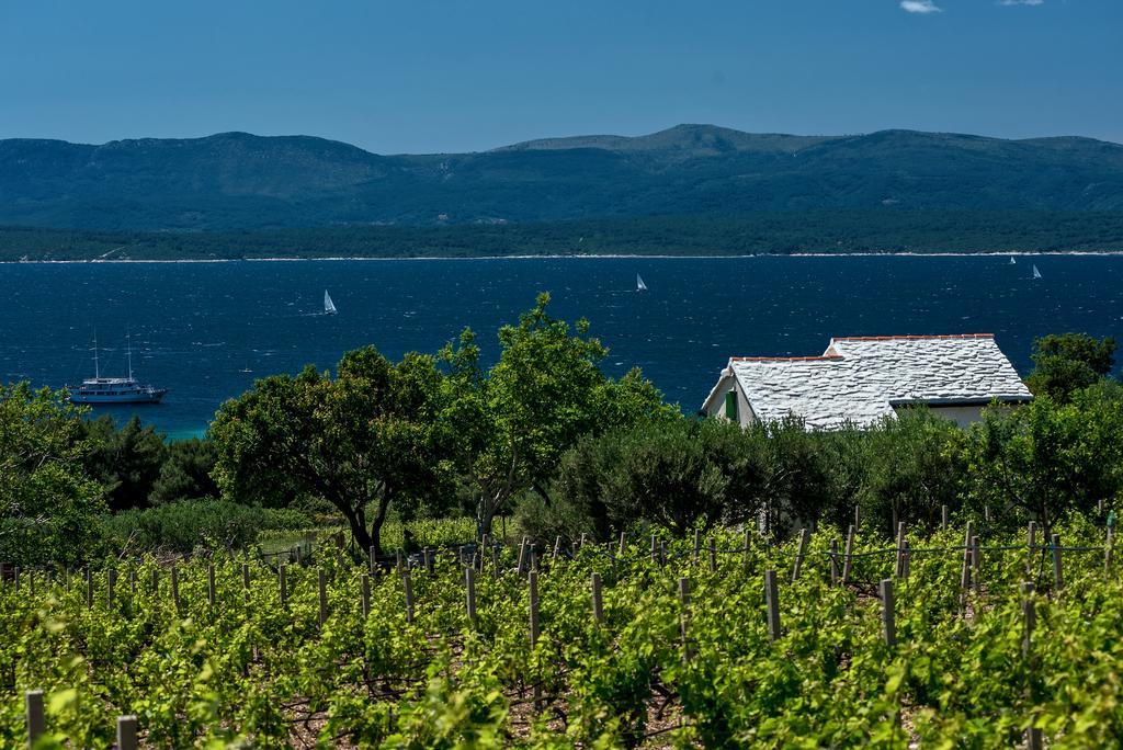 Holiday Home Vineyard House Bol Exteriér fotografie