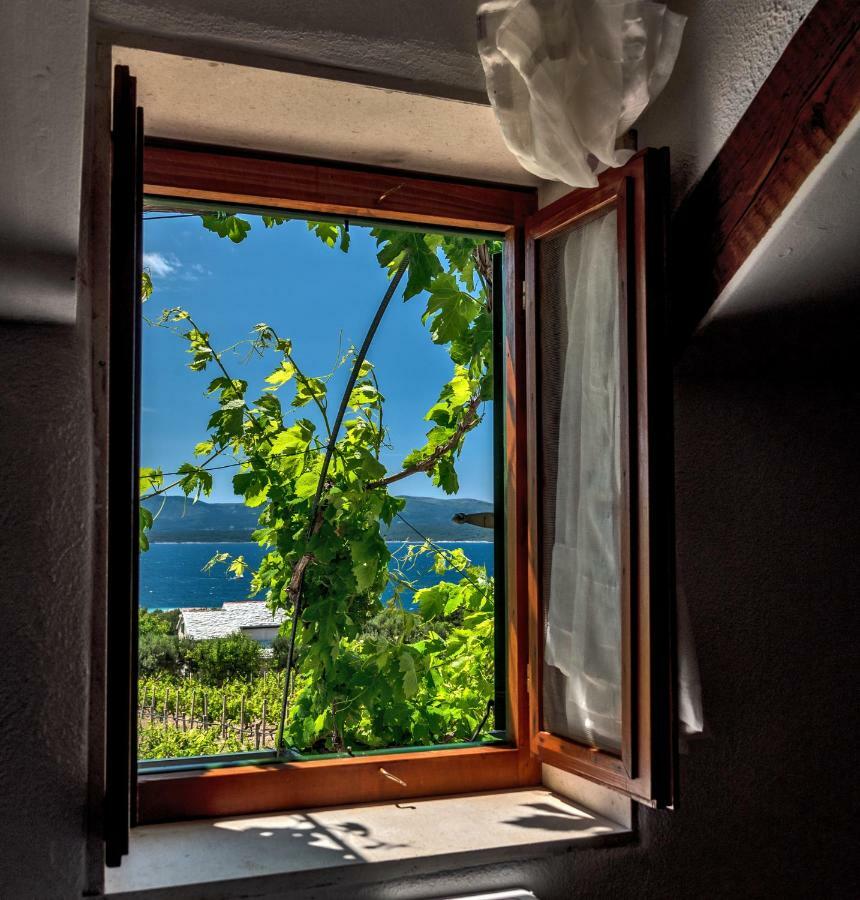 Holiday Home Vineyard House Bol Exteriér fotografie